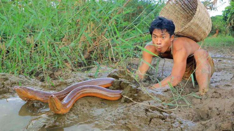 活蚯蚓多少錢一斤(男子野外溪流抓黃鱔) - 去釣魚