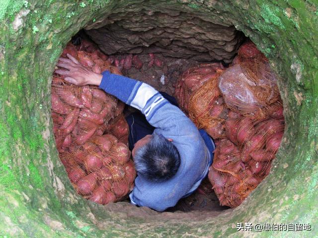 制作简易的小花灯，小彩灯制作方法（想起母亲做的“红薯花灯”）