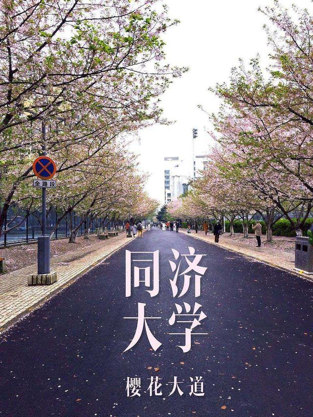 车辆工程专业排名，装甲车辆工程专业排名院校（车辆工程4所双一流大学在河北招生排名）