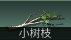 明日之后兽角怎么得，明日之后中兽角怎么获得（五分钟助你成为快）