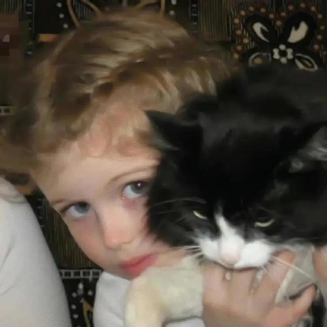 小动物头像可爱卡通，非常可爱的卡通小动物头像微信（壁纸小馆：萌宠头像）