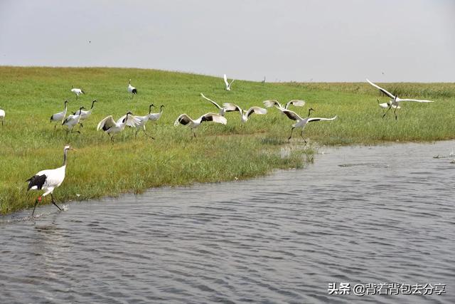 东北旅游必去十大景点，十大东北最值得去的旅游景点是什么（黑龙江必玩的十大景区）