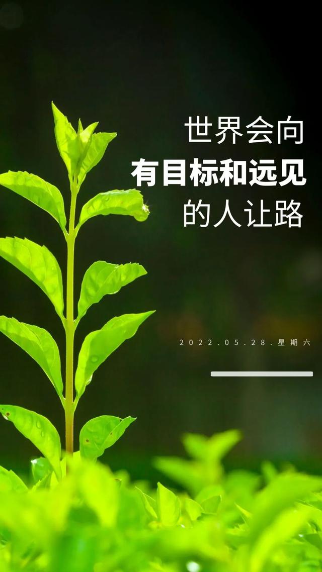 早晨充满正能量的句子，早上优美正能量句子（早上好说说语录图片）