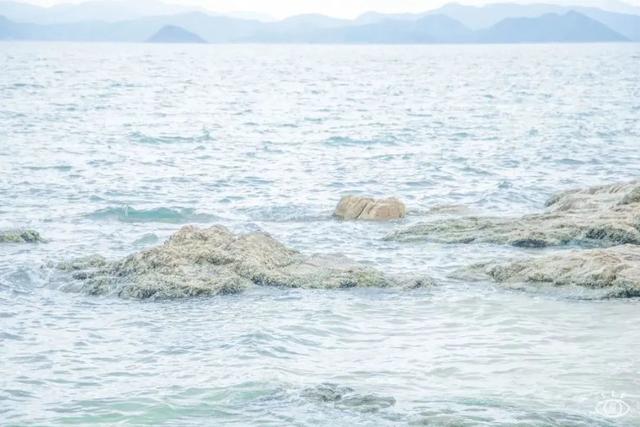 深圳大梅沙好玩吗，为何国庆首日游客仅200多人（深圳10个海边沙滩，超好玩）