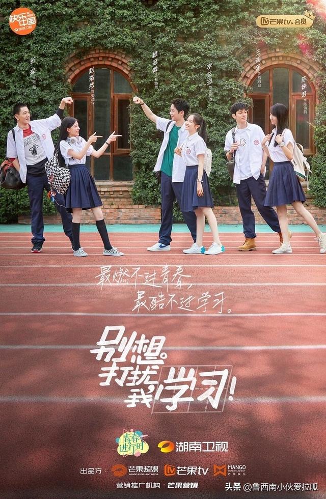 郑爽演的芦苇微微是哪个电视剧，郑爽郑爽演过的电视剧（８位电视剧学霸女主）