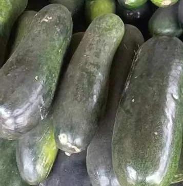 蔬菜价格一览表，农村4种蔬菜价格表（今日河南部分蔬菜最新价格）