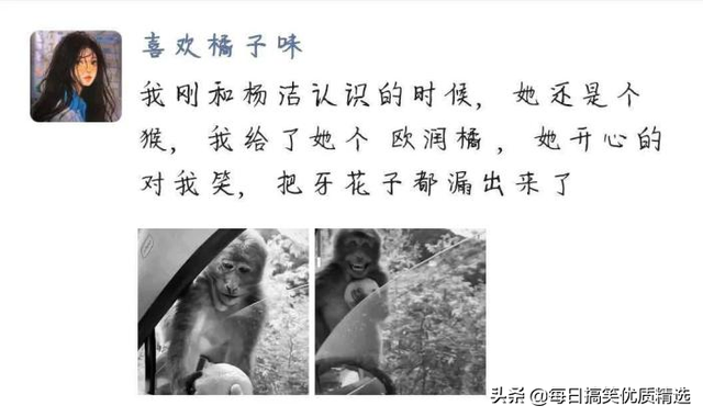 别扒拉我恐龙情侣头像，恐龙情头微信（神回复：这是什么样的古董）