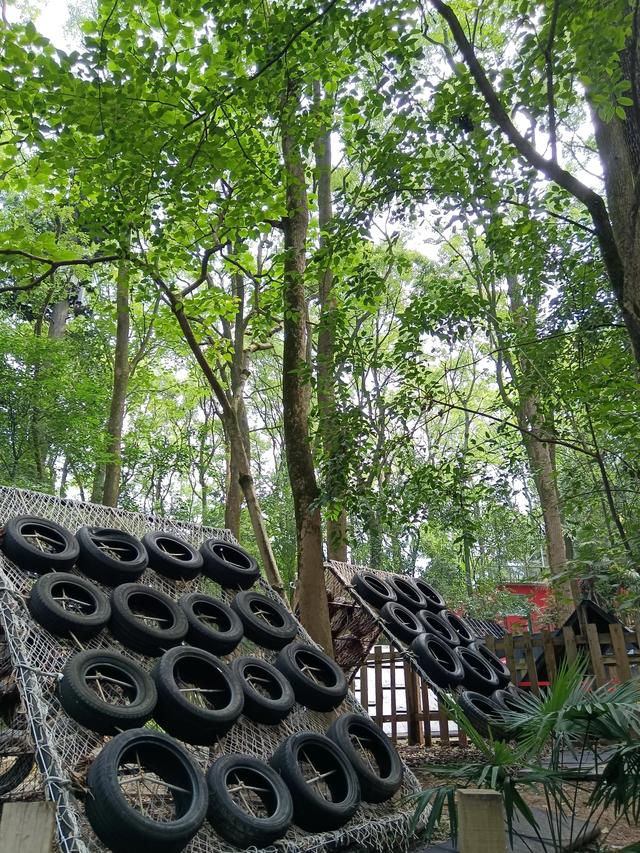 歌乐山森林公园，重庆主城700米高山-歌乐山森林公园乘凉