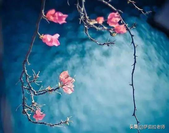 给领导送什么礼物比较合适，过年送领导礼品送什么合适（该给老板送个什么礼物呢）