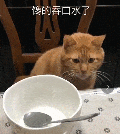 猫喜欢吃什么蔬菜，小猫喜欢吃什么蔬菜（简直就是“人间美味”）