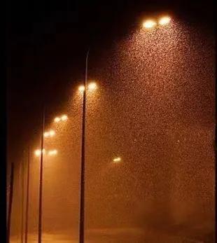 闲来听夜雨，静静的聆听夜雨