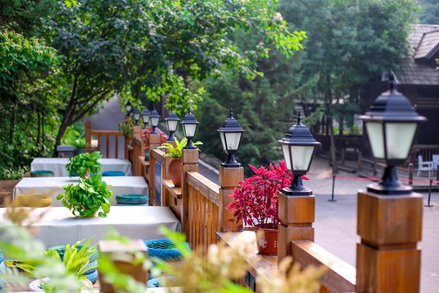 很罕见又很好看的闺蜜头像，超好看稀有闺蜜头像 可以再浪漫一些 夜晚 微风和鲜花微信（山林里的甜蜜派对）