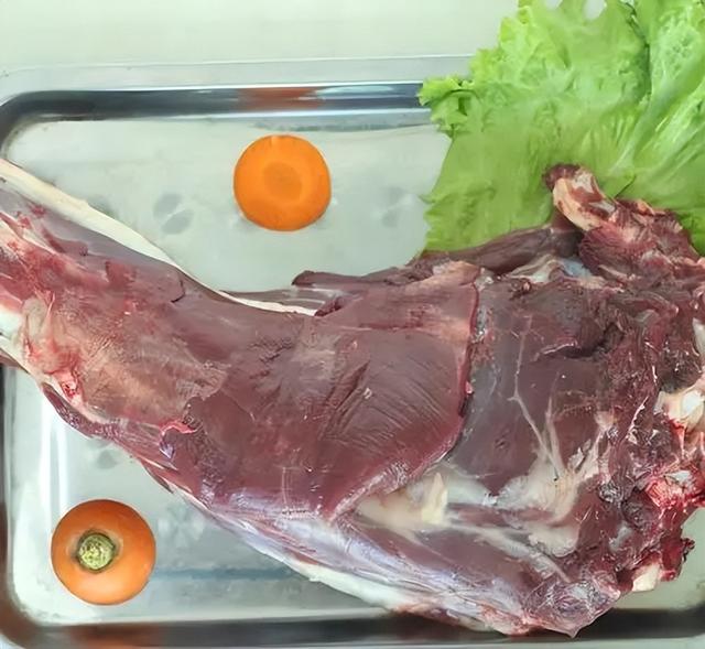 鹿肉（鹿肉性味归经，为何市面上那么少见（鹿肉的功用）