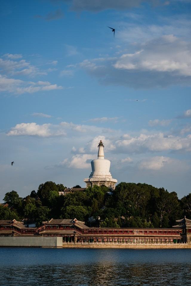 入门级的微单相机哪个好，佳能全画幅微单应该如何选择