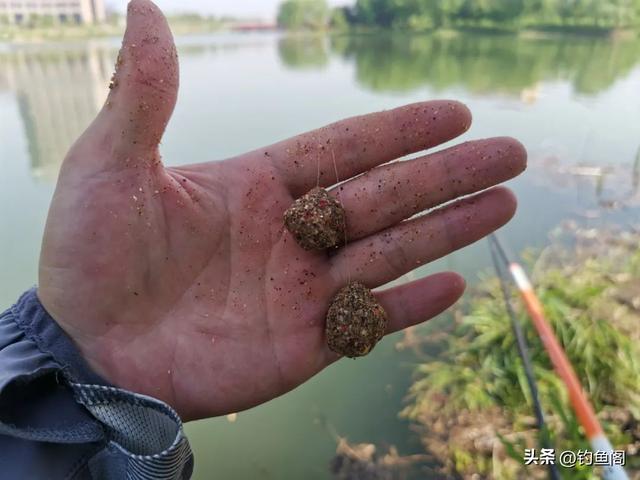 钓鲤鱼用什么打窝，钓鲤鱼用什么饵料打窝好（学会这三种打窝方法）