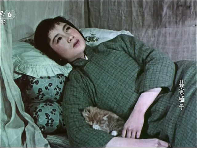 50年代老电影，50年代八一电影厂反特片（1959年的《林家铺子》）