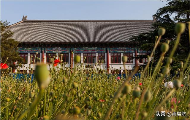 应用统计专硕考研学校排名，应用统计学考研学校及分数线（近5年累计新增次数、撤销次数）