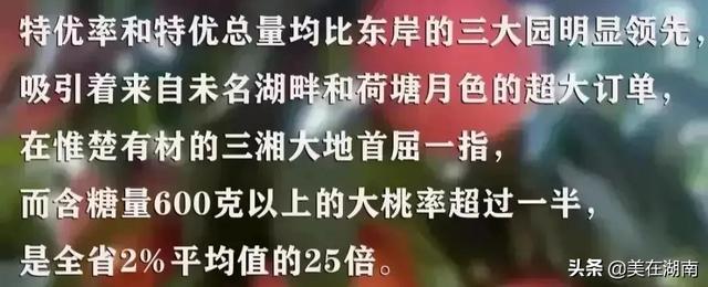 衡阳县第一中学，衡阳县一中清北班有几个（2022年湖南部分学校的高考成绩）