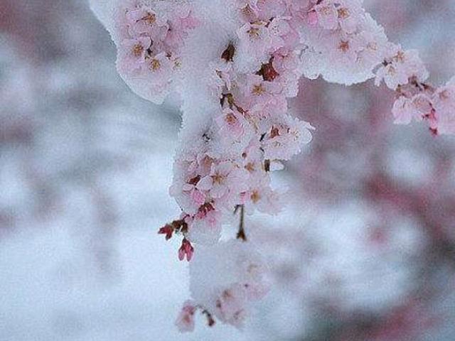 万事胜意搭配下一句是，万事胜意搭配下一句是什么（2023：愿你平安喜乐）