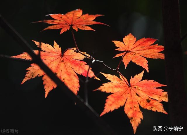 工作态度和责任心不足反思，工作态度和责任心不足反思范文（总觉得是对方错得多）