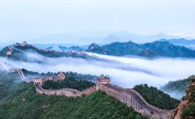 世界最珍贵的树木排名是什么，世界上最名贵的树木是叫什么名字（我国3棵“贵族名树”）