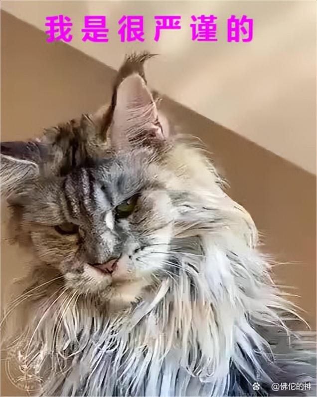 伽利略三大定律，牛顿三大定律与理论（为什么这些定律可以描述物体的各种运动）