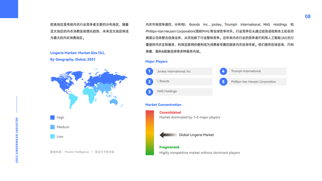 2022全球内衣行业市场洞察与品牌解析报告