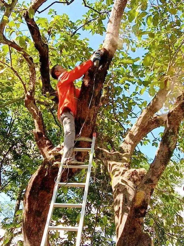 浦江是什么省什么市，浦江是哪个市的（浦江县这两个“公园”有了新身份）