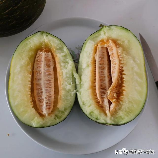 绿色的哈密瓜叫什么，绿色的哈密瓜叫什么名字（哈密瓜、蜜瓜、网纹瓜、香瓜、羊角蜜傻傻分不清）