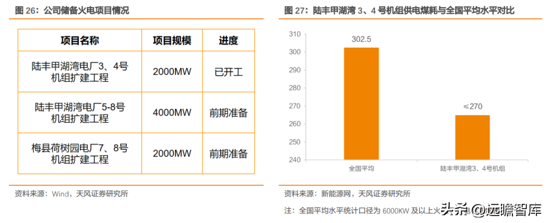 宝丽华（广东省民营电力企业）