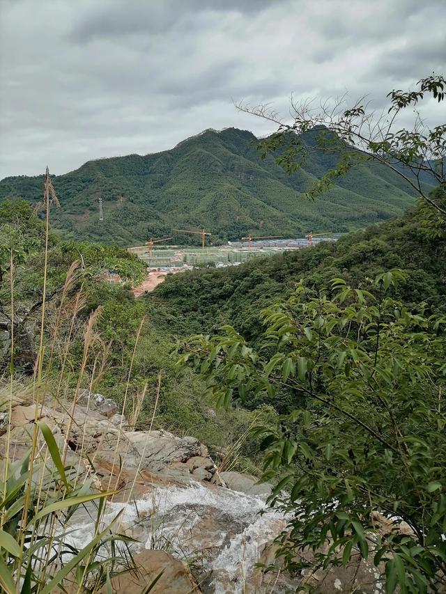 大自然的搬运工，大自然的搬运工是什么动物（大自然的搬运工是什么动物日记）