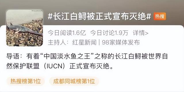 幸好这30种动物灭绝了，要不人类真的难以生存（“一亿五千万岁”长江白鲟正式灭绝）