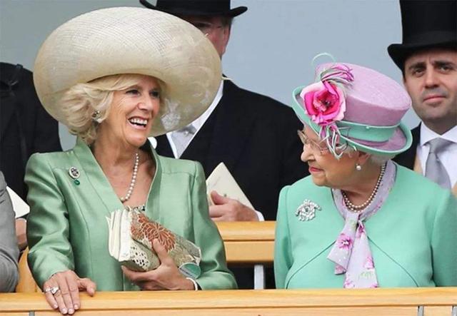 查尔斯王子的妻子卡米拉为什么不能成为王后，卡米拉王妃查尔斯孩子（女王最后的妥协）