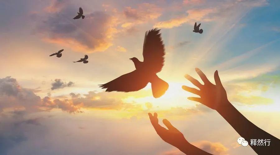 关于自由快乐的名言，人生格言快乐与自由（你敢于享受自由的乐趣吗）