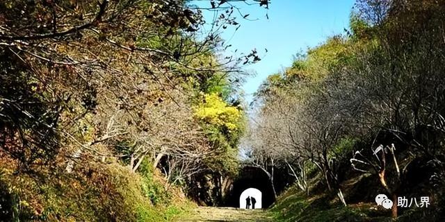 广东省内旅游攻略，广东10大最美自驾线路