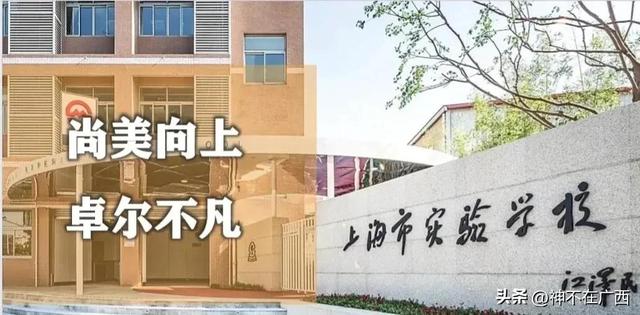上海重点小学梯队排名，上海最难进的十大小学