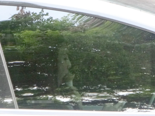 林志颖老婆陈若仪个人资料，林志颖老婆陈若仪（生3娃身材依旧似少女）