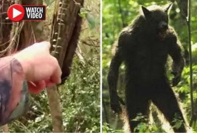 吸血怪兽卓柏卡布拉，卓柏卡布拉吸血的录像（上身像狼、下身像人）