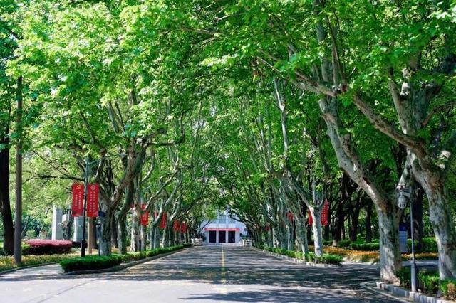 华东理工大学外语学院，2020年华东理工大学排名（上海这6位“硬核”硕博研究生）