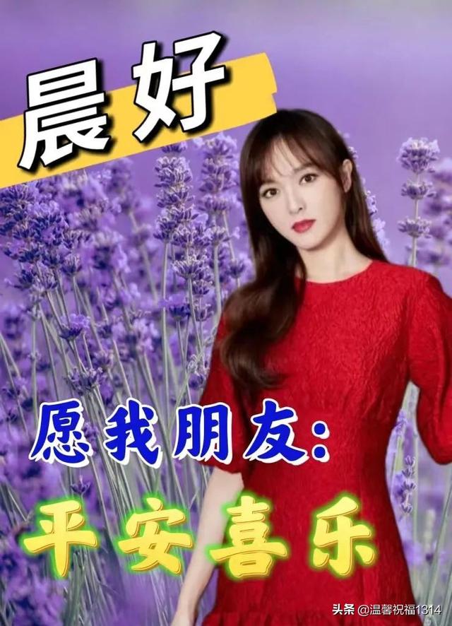 八个字珍惜友情的句子，珍惜友谊的句子八个字（6月8日感谢一成不变的友谊）