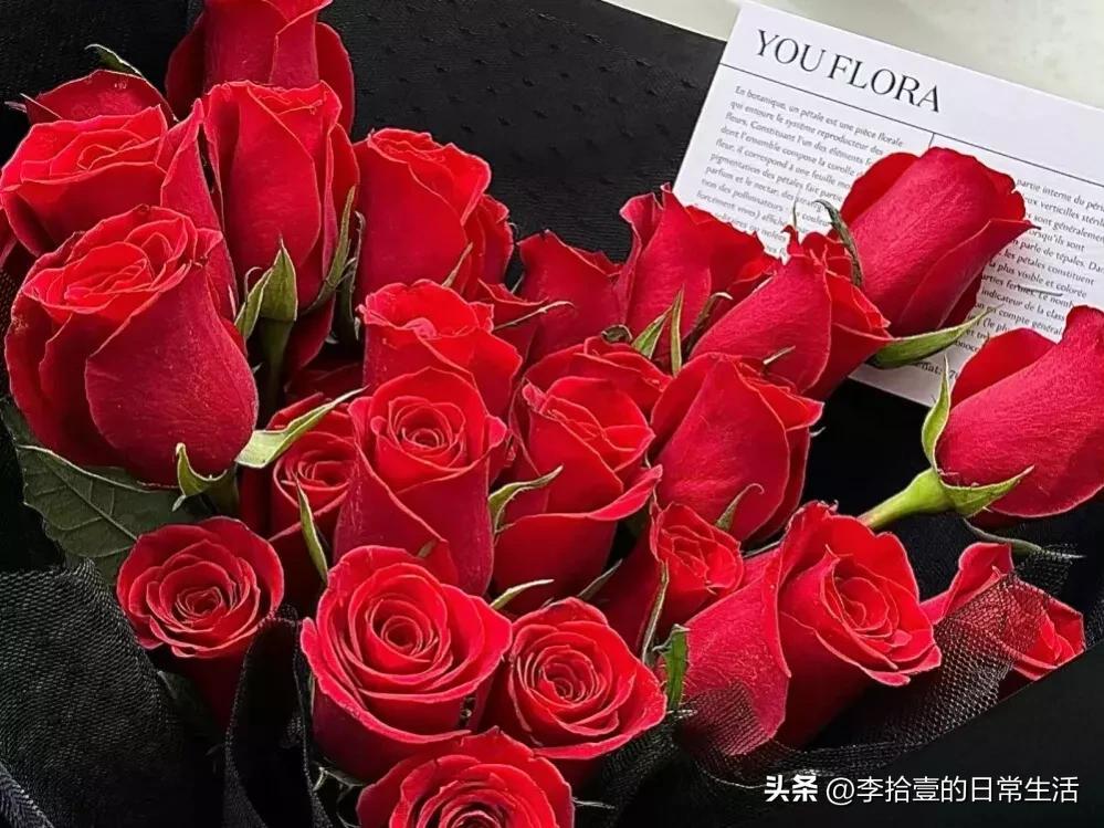 情人节适合发朋友圈的简短句子（15句暖心高赞的情人节文案）