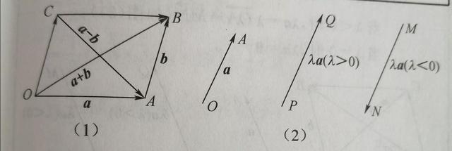 什么叫共线，什么叫共线性（梳理空间向量及其运算这一节的知识点）