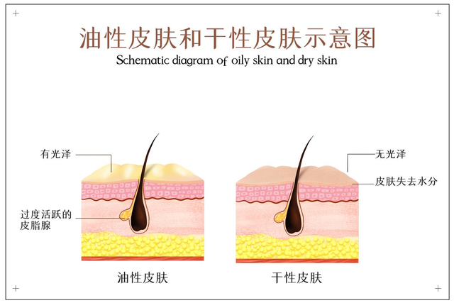 混合型皮肤适合用什么护肤品，混合肌肤适合什么护肤品（RSAS：混合性皮肤如何护肤）