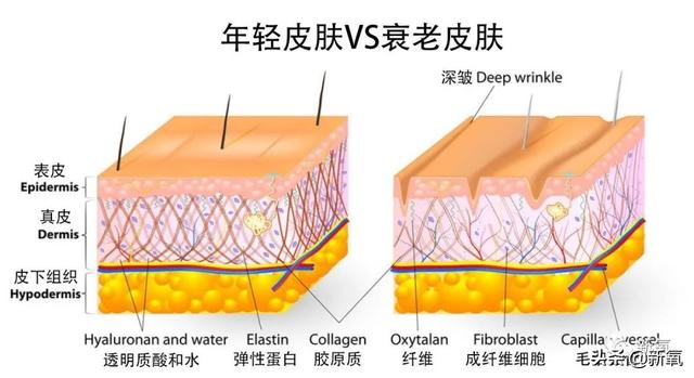 韩艺瑟电影，超了那个“要结婚的年纪”又如何（韩艺瑟新剧）