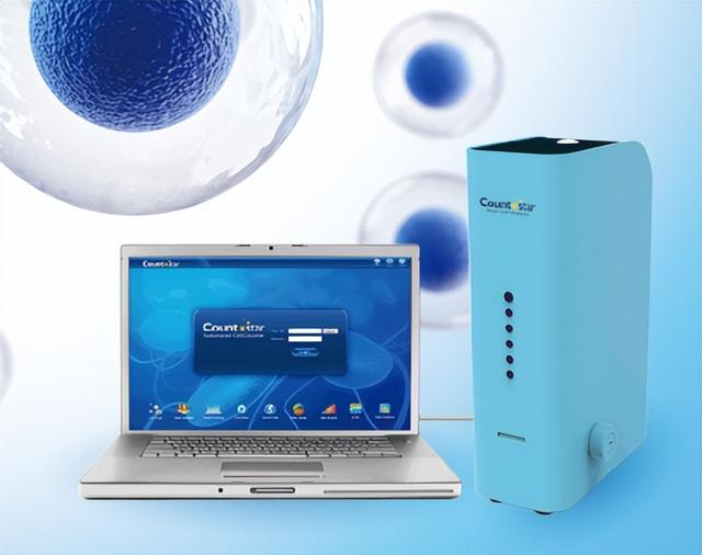 死亡细胞2细胞怎么过，死亡细胞二细胞（小嗅找找丨怎么进行细胞计数）