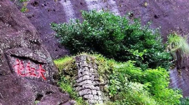 美国尼克松简介，1972年尼克松访华