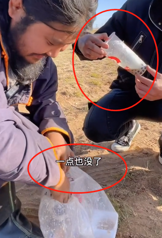 彪悍的蒙古汉子，蒙古人、维京人、萨摩亚人——哪个最强悍（202公里配送费584元）