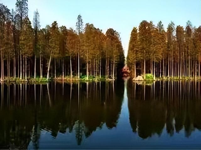 江苏兴化在哪儿，阳春三月来江苏兴化