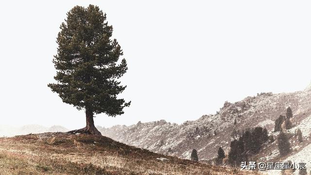 一月份是什么星座，能够超越自我的星座（二月份是什么星座男生）