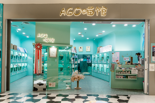 深圳海洋世界攻略，海洋馆、水秀剧场、梦幻巡游…在这里全都有